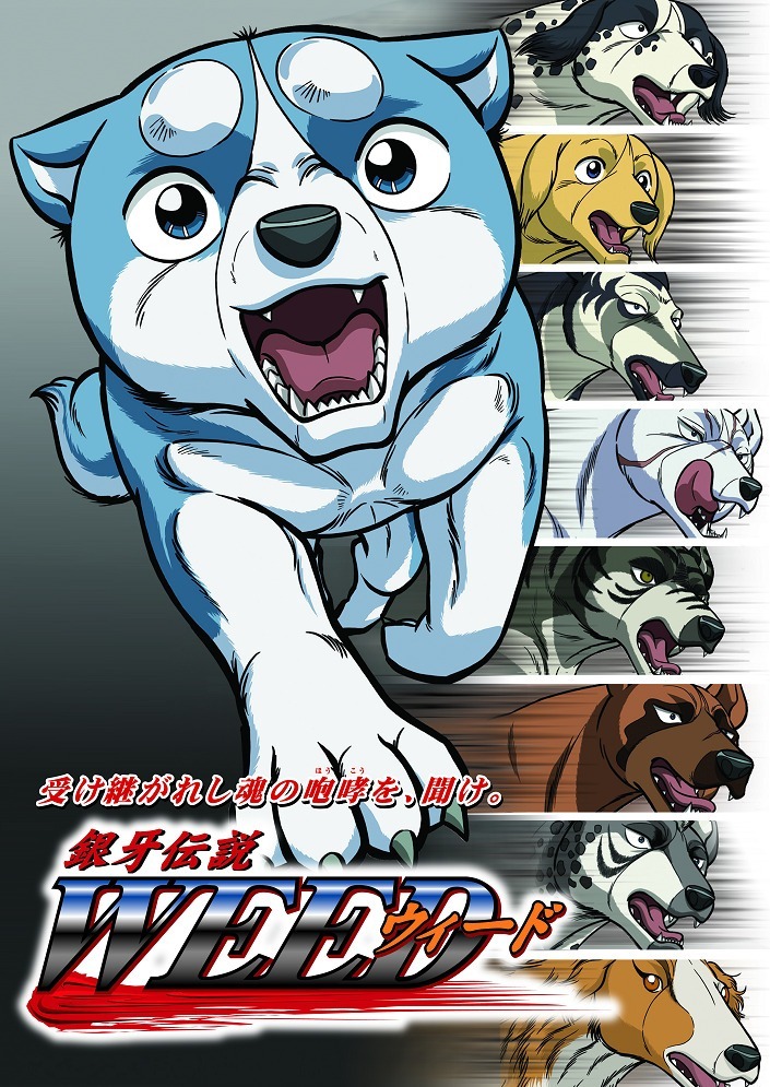 Легенда о Серебряном Клыке Уиде