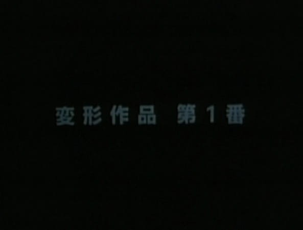 Метаморфоза: Произведение №1