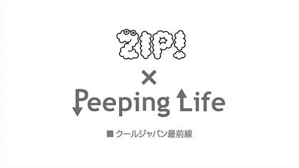 Сложности жизни x ZIP!